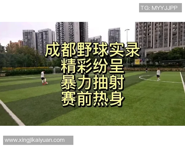 足球新手野球的成长之路从基础技巧到实战经验全方位提升你的球技